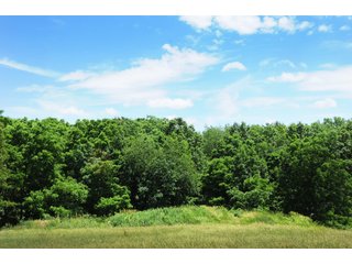Property photo 22 - REAL ESTATE AUCTION - 26.61+/- ACRES IN NOBLE COUNTY, INDIANA